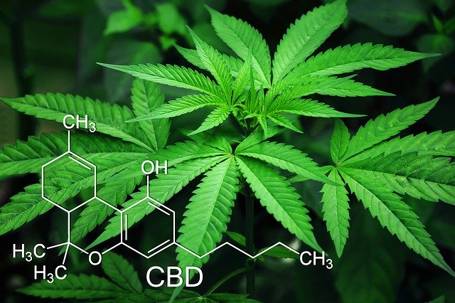 Cannabisblatt und eine Formel